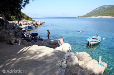 Апартаменти біля моря Бухта Зараче (Гдінь) - Zaraće (Gdinj), Хвар - Hvar - 25037