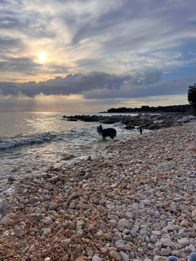 La spiaggia più vicina - Casa vacanze accanto al mare Baia Krlić, Pago - Pag