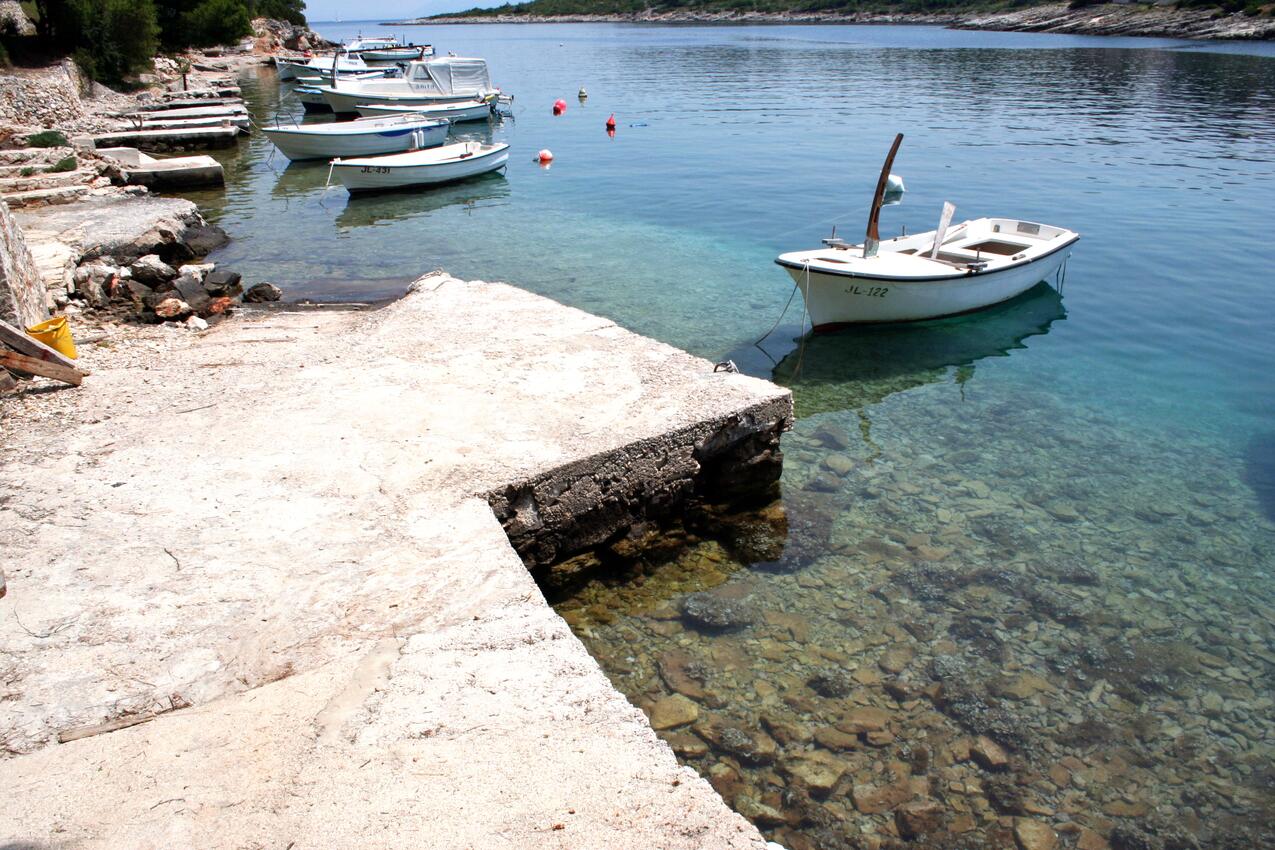 La spiaggia più vicina - Appartamenti accanto al mare Basina, Lesina - Hvar
