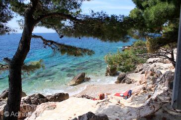Apartments by the sea Ivan Dolac, Hvar - 4584