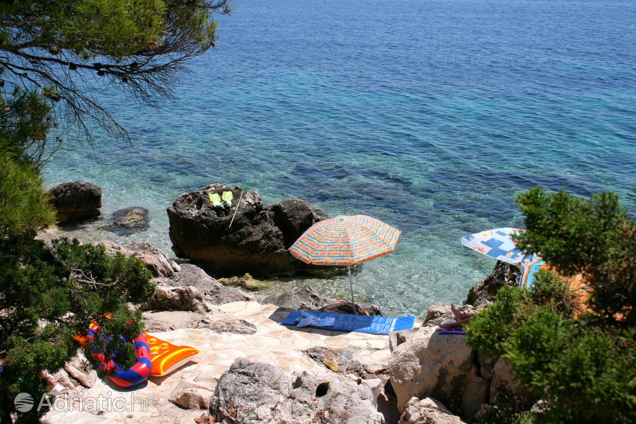 Nearest beach - Apartments by the sea Ivan Dolac, Hvar