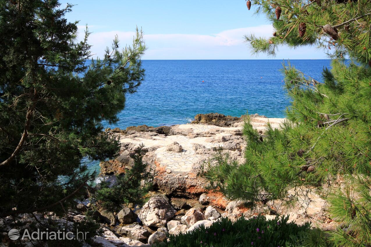 Nearest beach - Apartments by the sea Ivan Dolac, Hvar