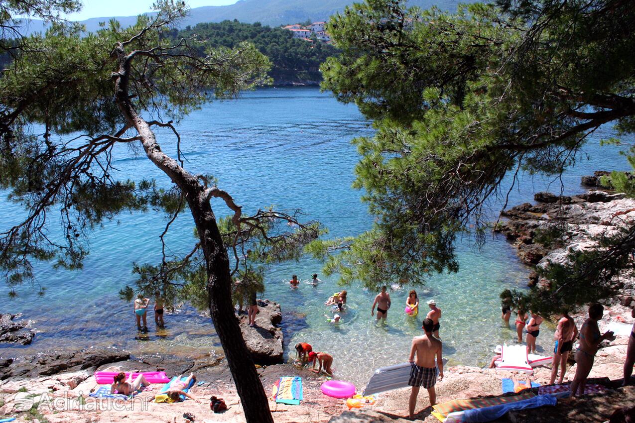 Adriatic.hr
