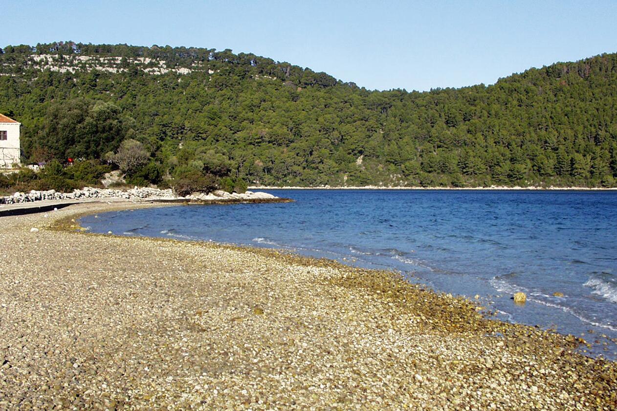 Najbližja plaža - Apartmaji ob morju Polače, Mljet