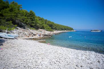 "Meduza" - Pelegrin, Korcula