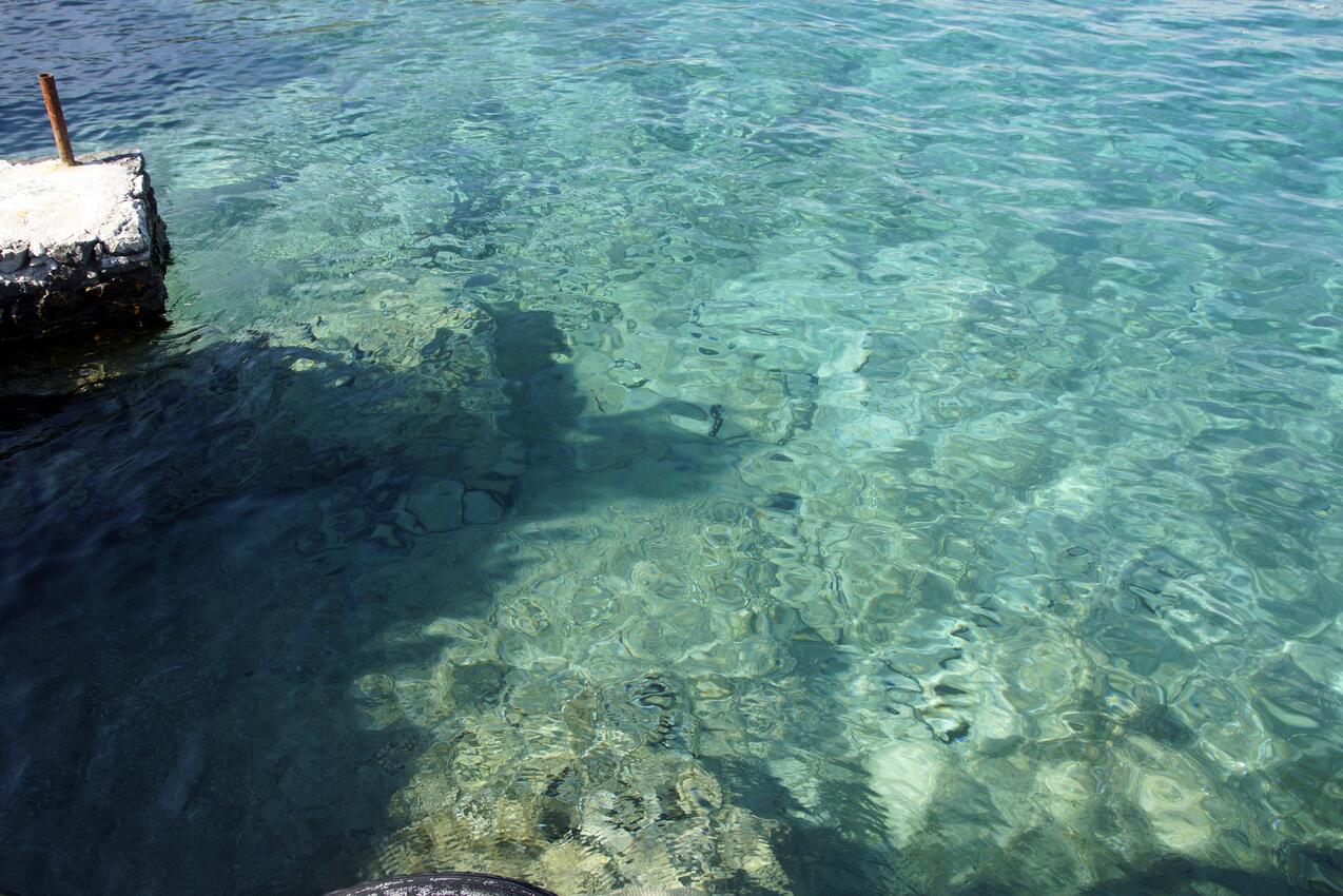 La spiaggia più vicina - Appartamenti accanto al mare Baia Ostricka luka, Rogosnizza - Rogoznica