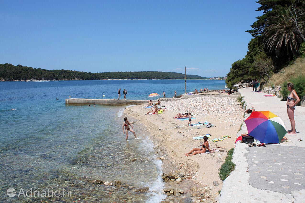 Nearest beach - Apartments with a parking space Palit, Rab