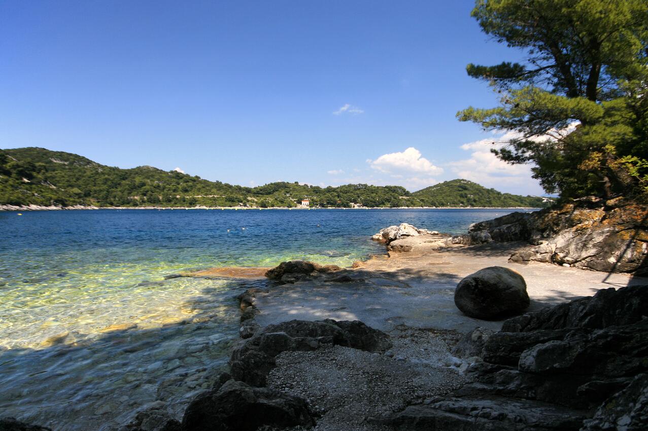 La spiaggia più vicina - Appartamenti e camere accanto al mare Sobra, Mljet