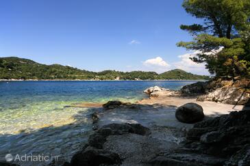 Apartmaji in sobe ob morju Sobra, Mljet - 4888