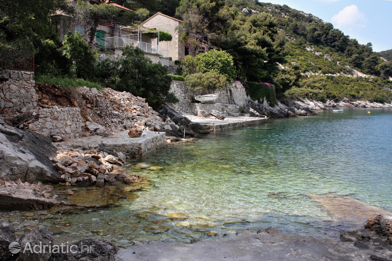 Nearest beach - Apartments by the sea Sobra, Mljet