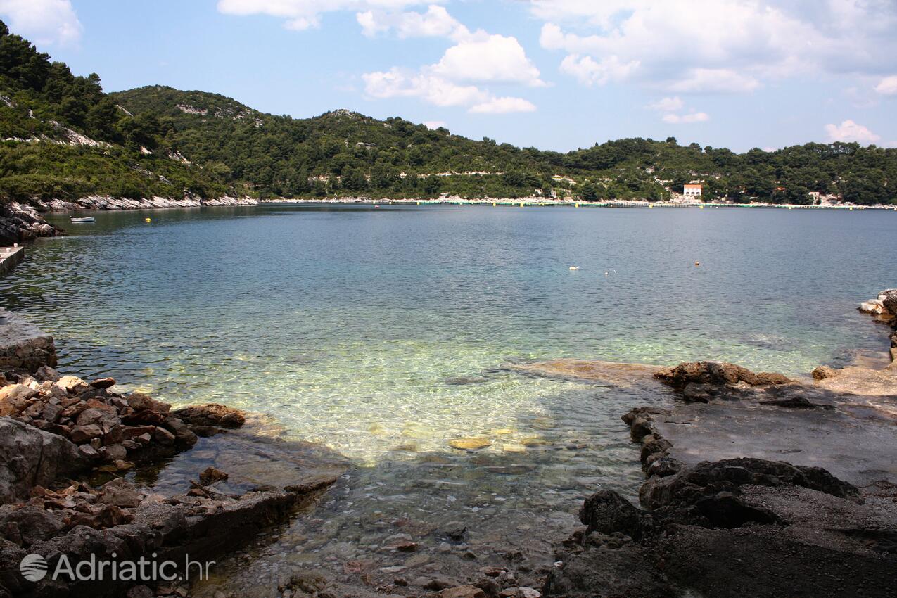 Nearest beach - Apartments by the sea Sobra, Mljet