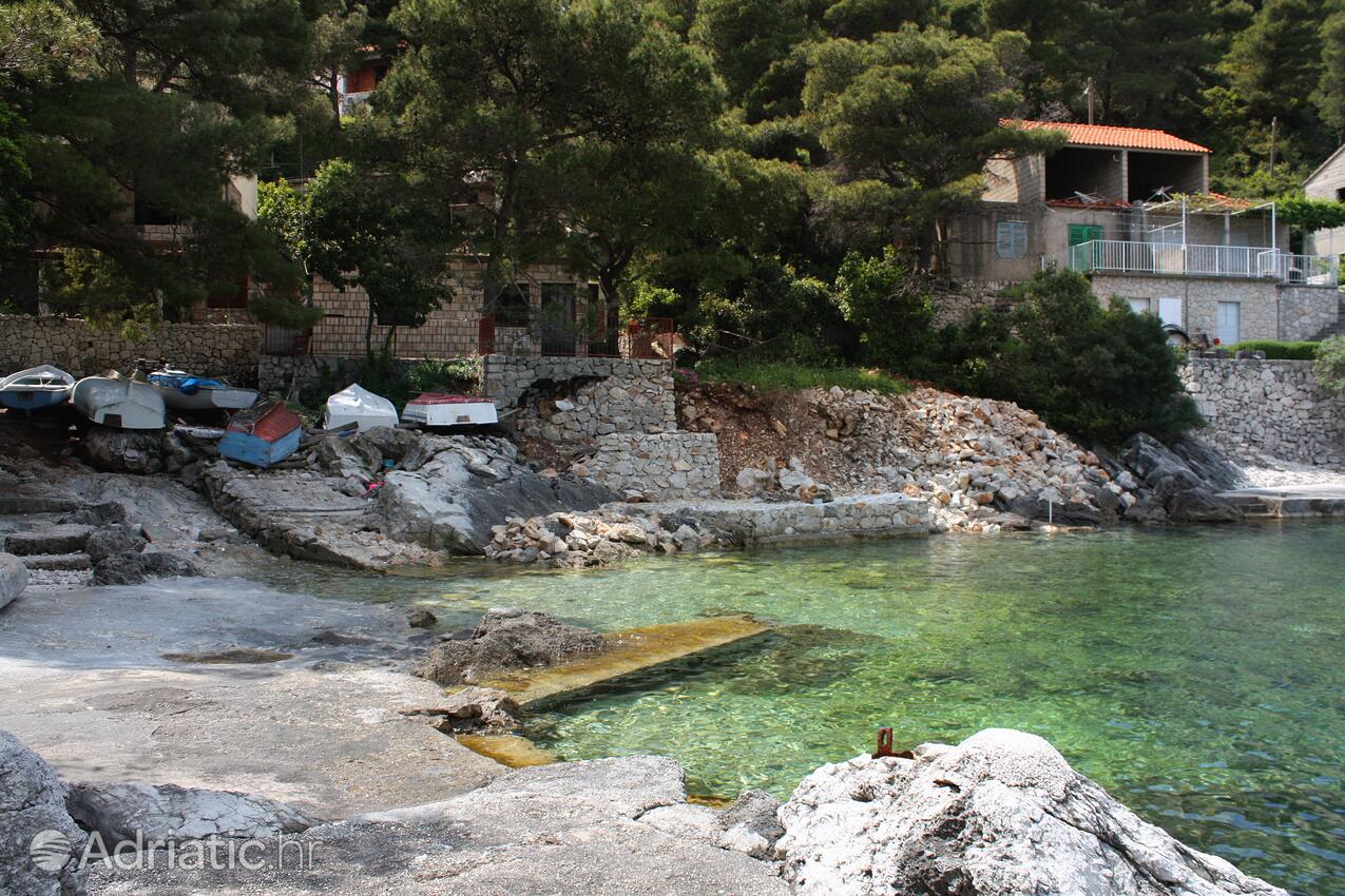 Nearest beach - Apartments by the sea Sobra, Mljet