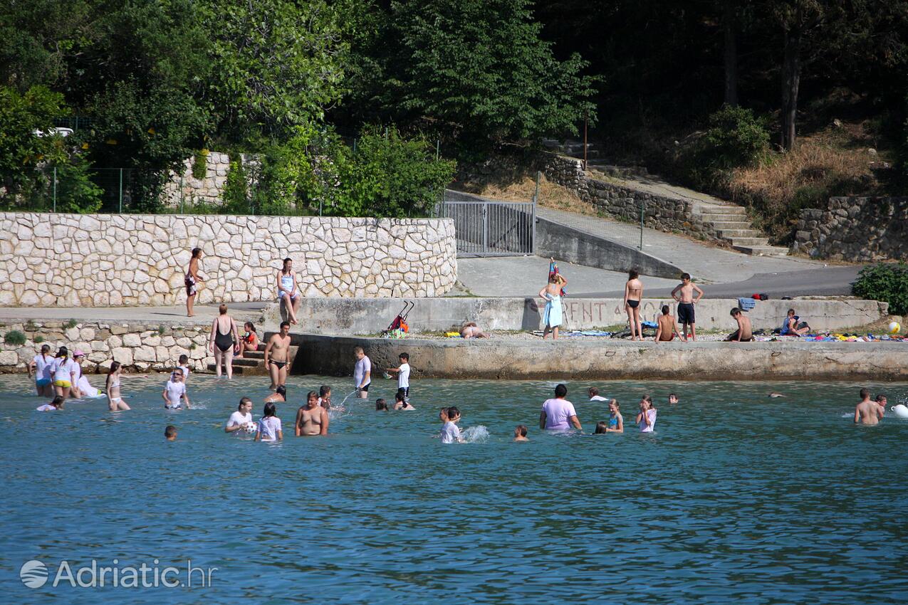Adriatic.hr