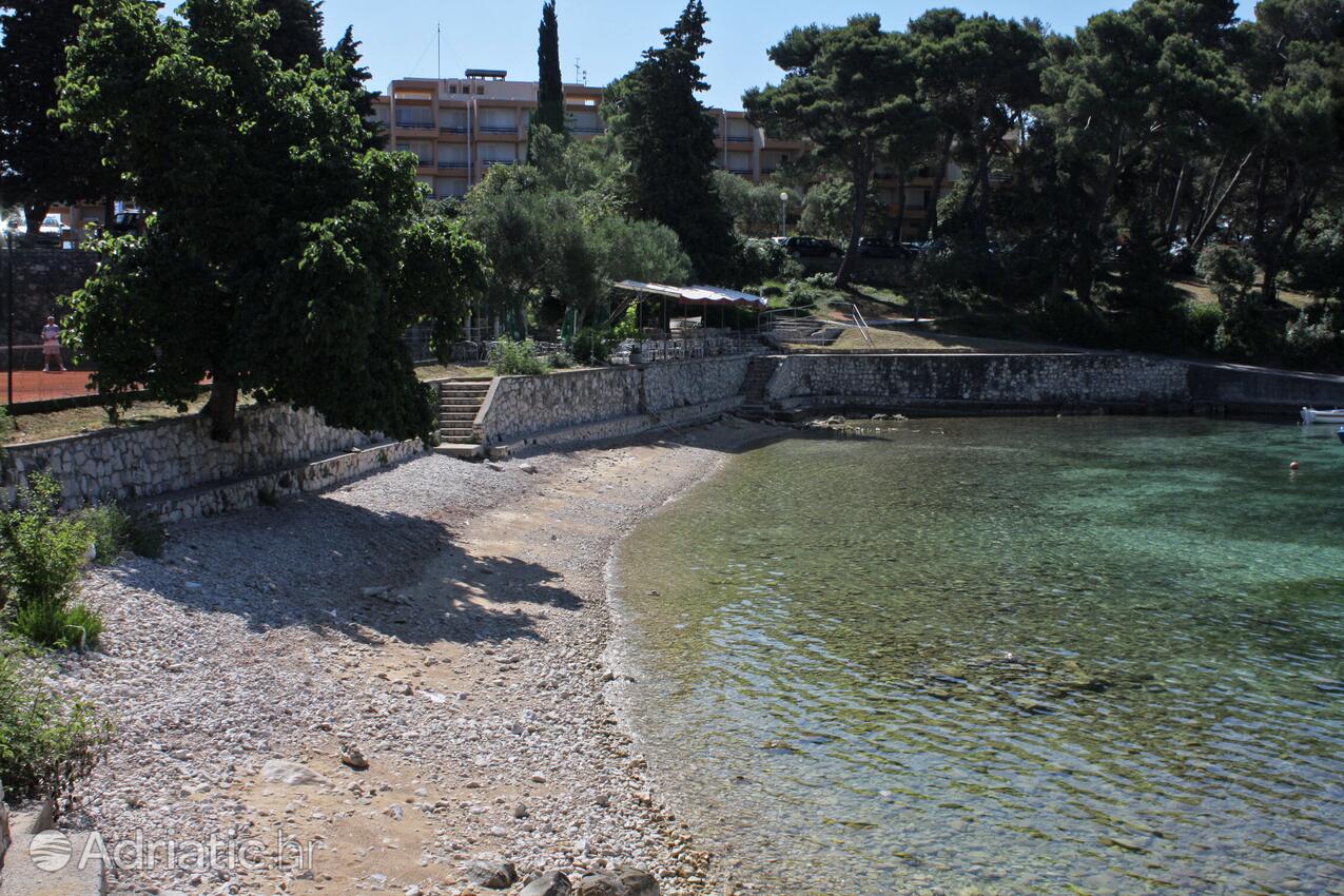 La spiaggia più vicina - Appartamenti accanto al mare Suha Punta, Arbe - Rab