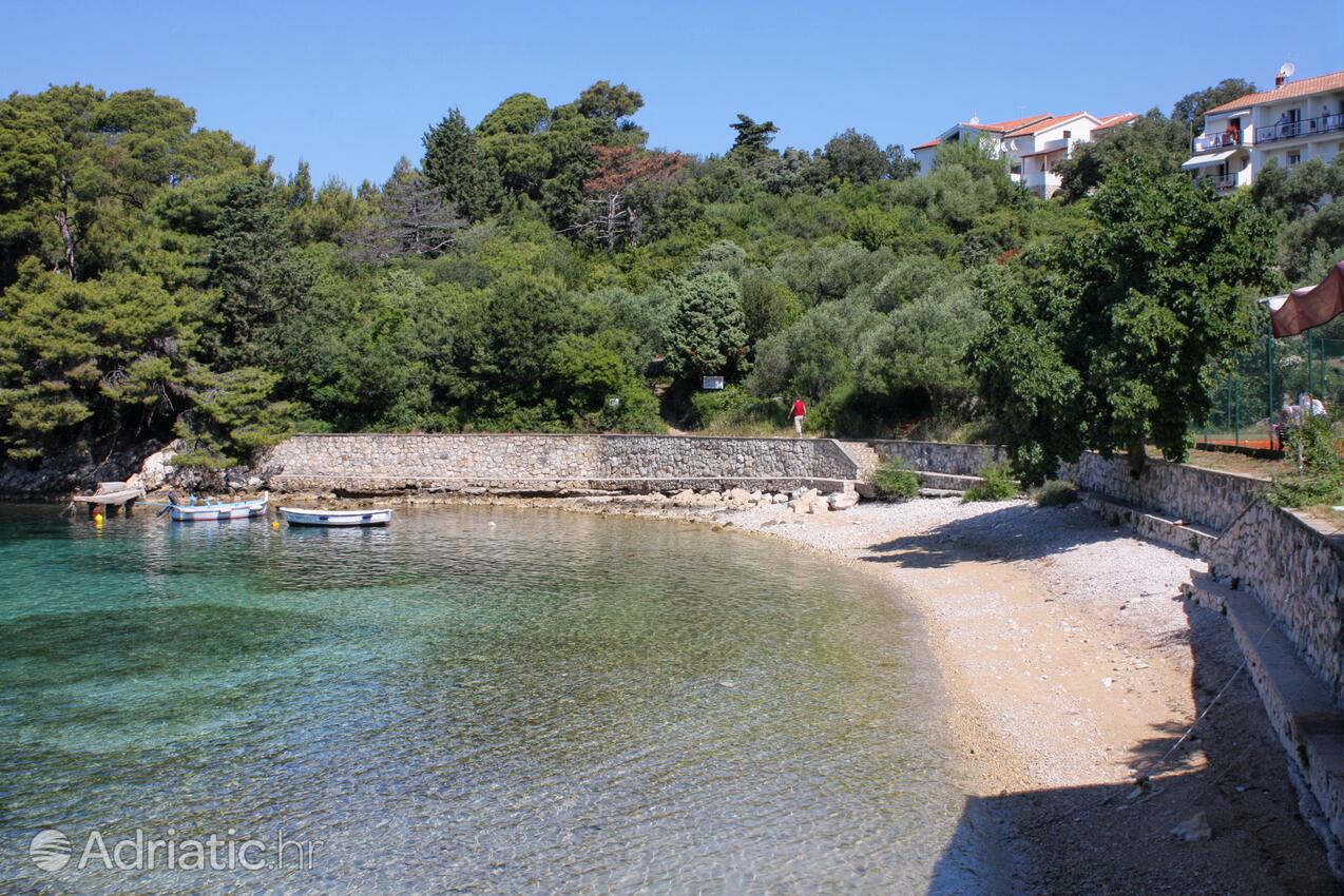 La spiaggia più vicina - Appartamenti accanto al mare Suha Punta, Arbe - Rab