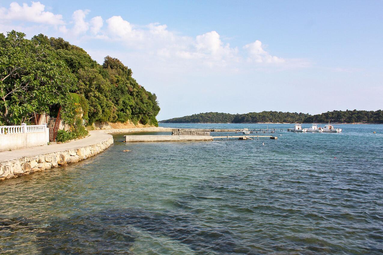Najbliža plaža - Apartmani s bazenom pogodni za obitelji s djecom Palit, Rab