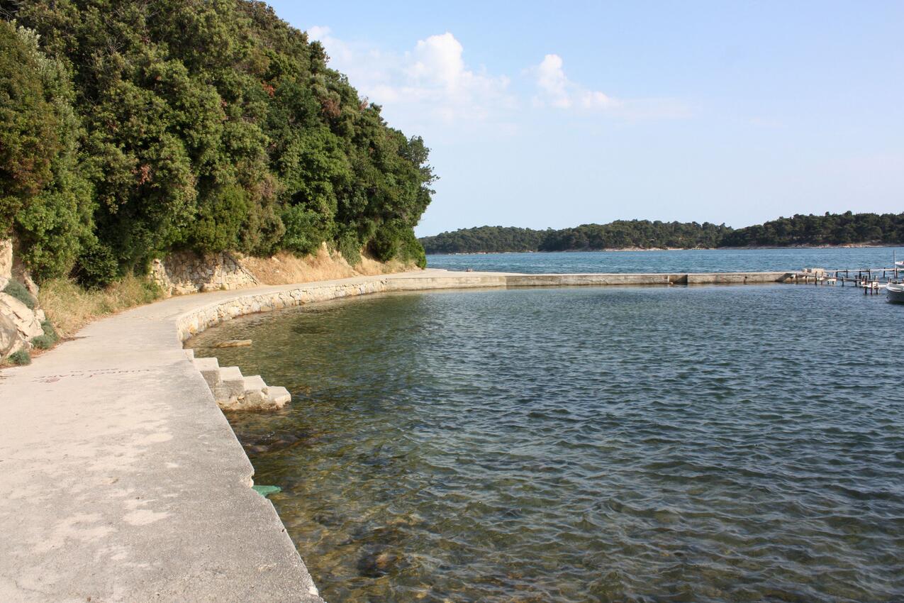 Najbliža plaža - Apartmani s bazenom pogodni za obitelji s djecom Palit, Rab