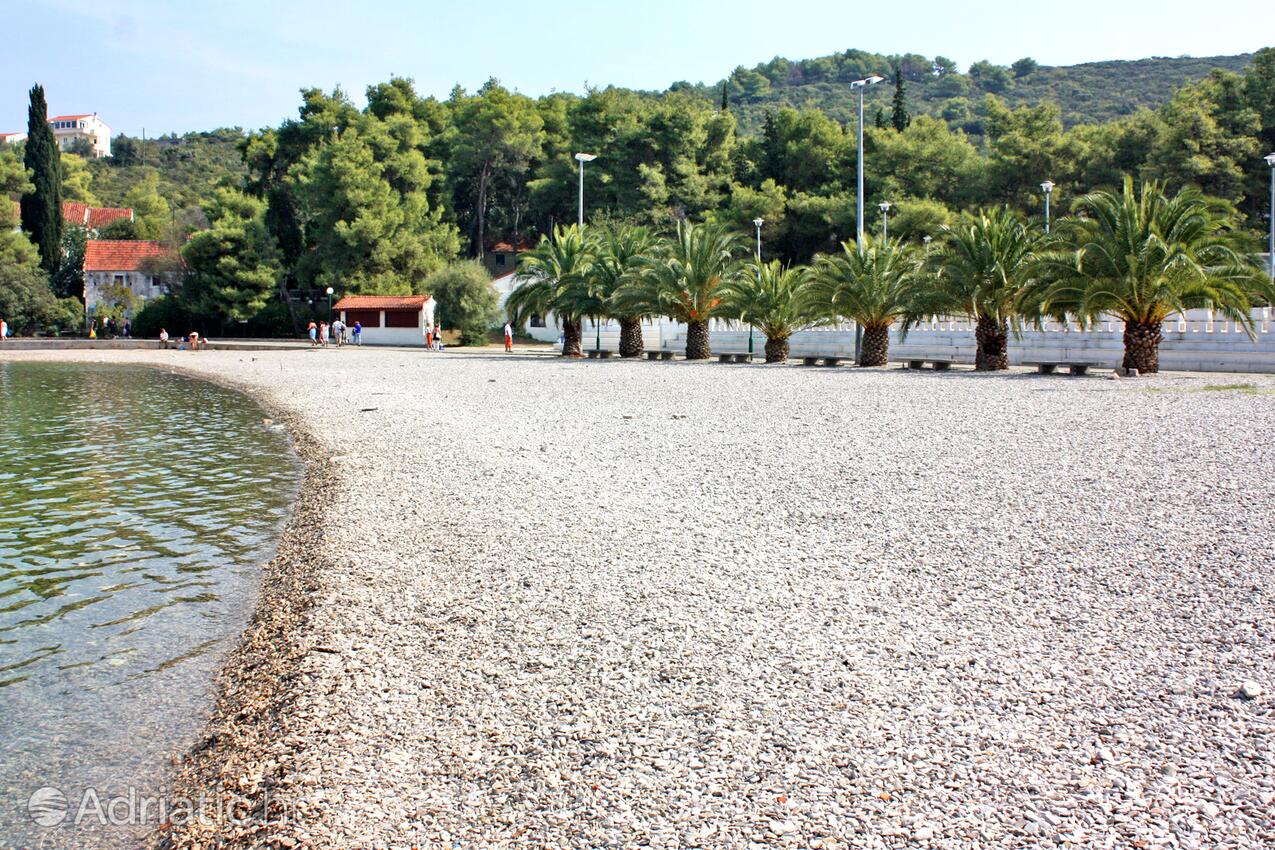 La spiaggia più vicina - Appartamenti con Internet Necujam, Solta