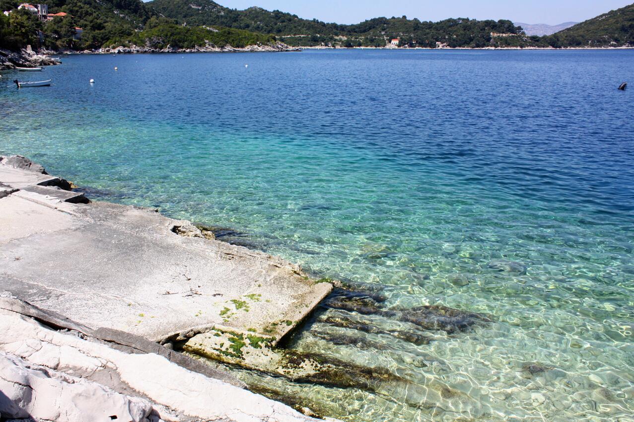La spiaggia più vicina - Appartamenti accanto al mare con piscina Sobra, Mljet