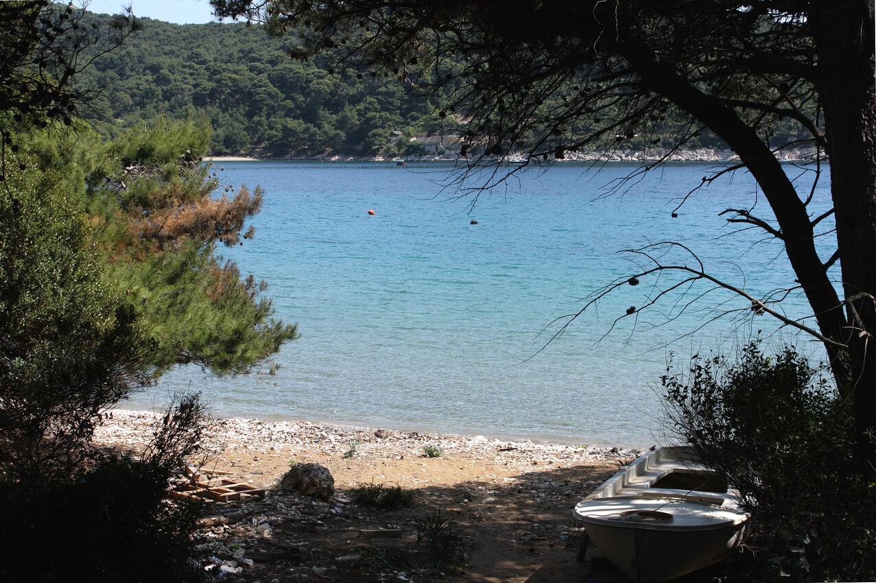 Najbližja plaža - Apartmaji s parkingom Zaliv Saplunara, Mljet