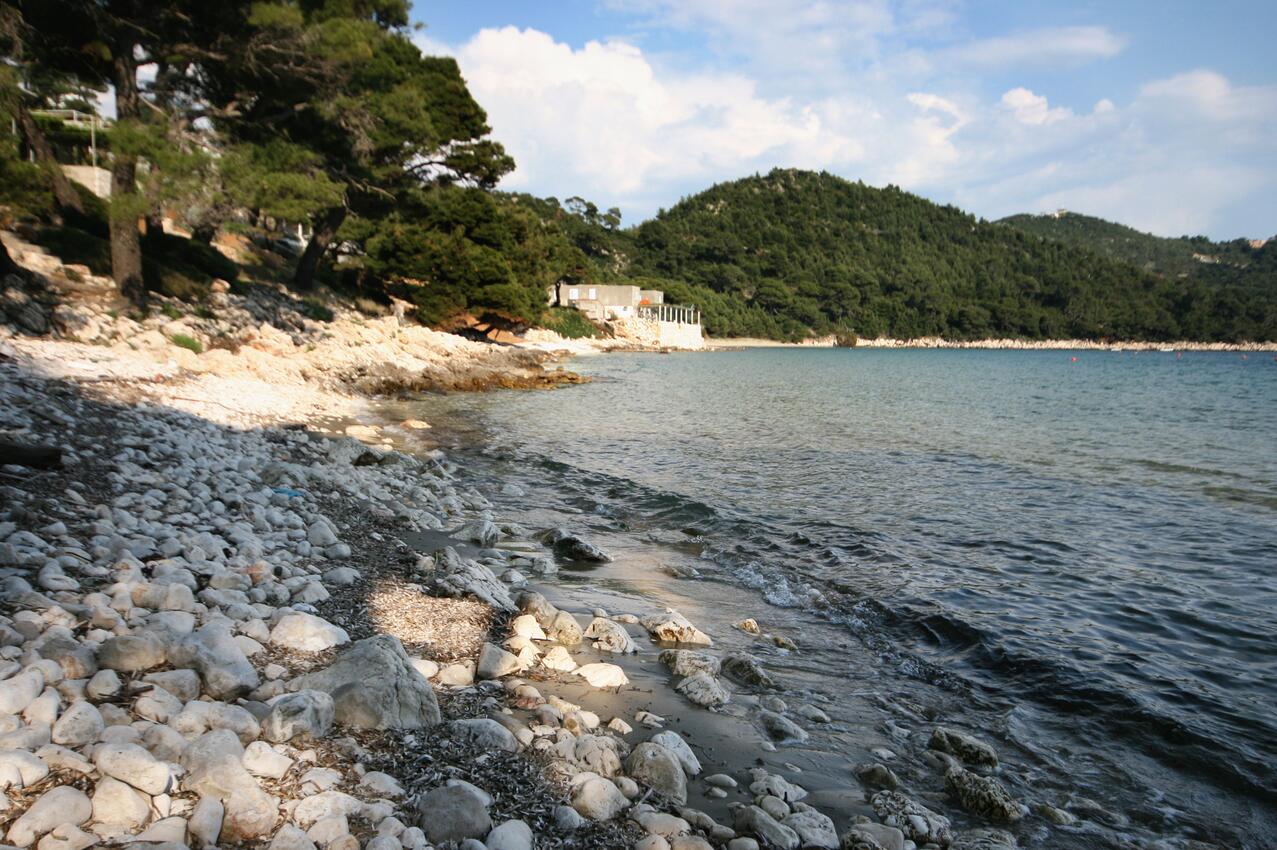Najbližja plaža - Apartmaji s parkingom Zaliv Saplunara, Mljet