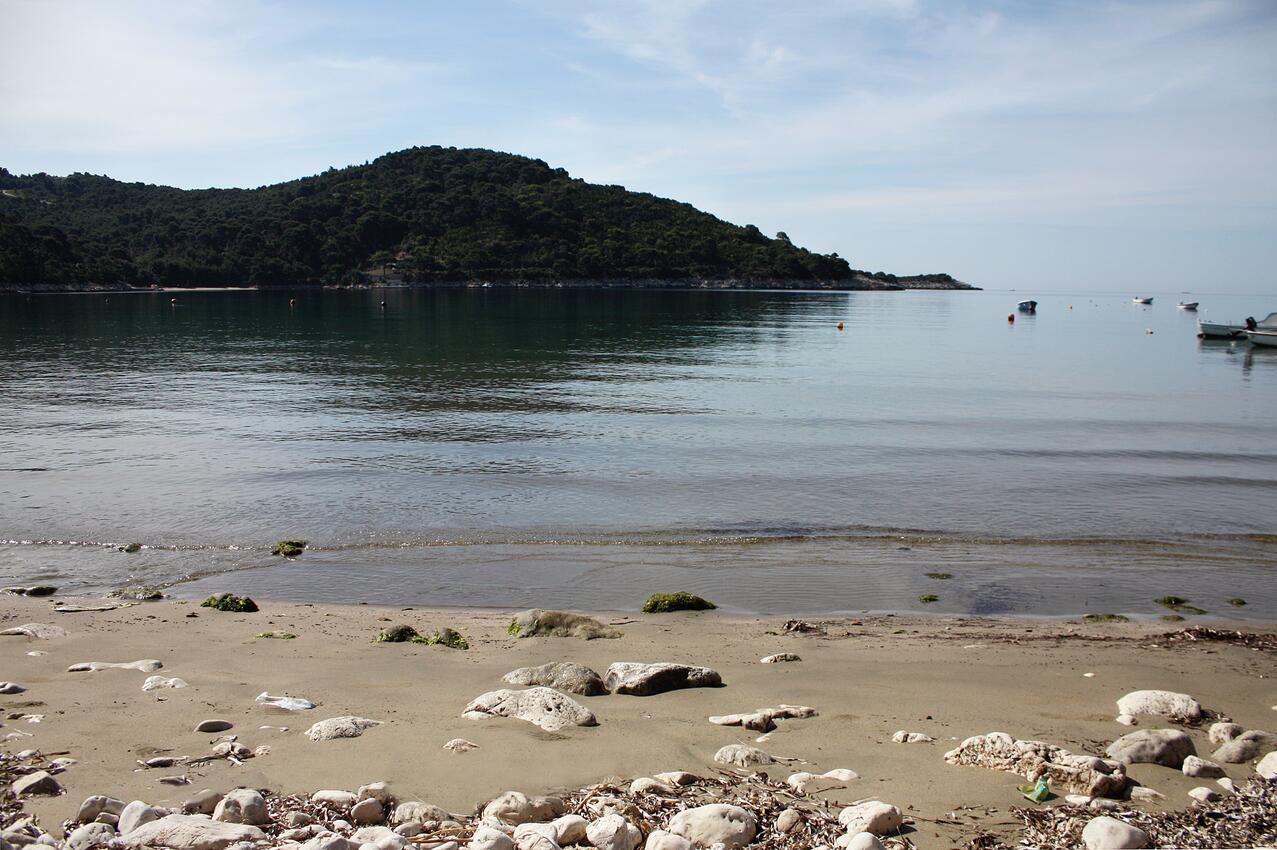 Najbližja plaža - Apartmaji s parkingom Zaliv Saplunara, Mljet