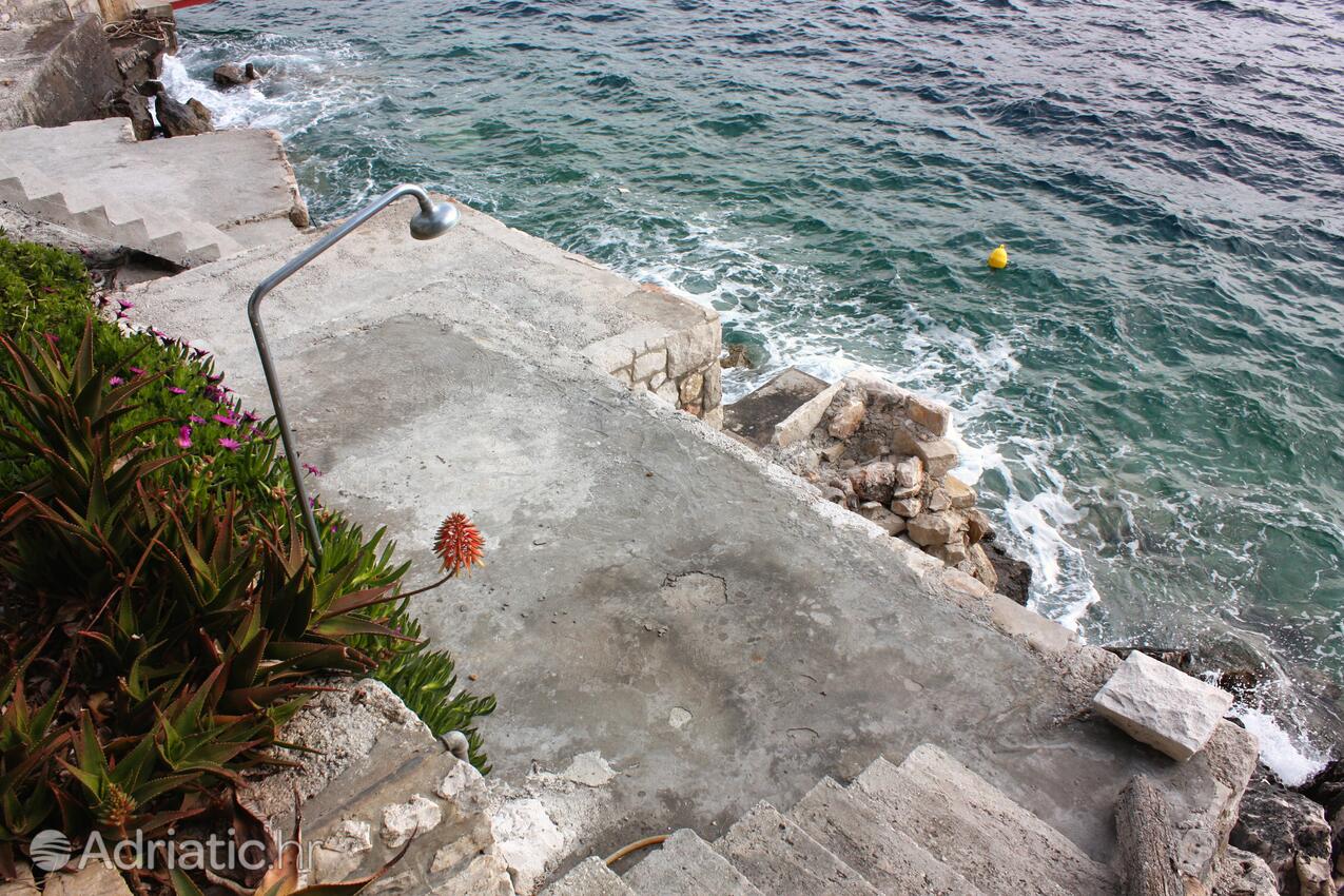 Appartamenti accanto al mare Sobra, Mljet - 4889
