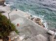 Apartmani uz more Sobra, Mljet - 4889