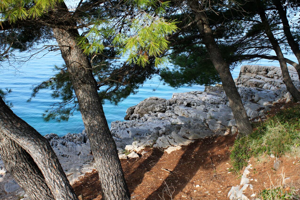 Najbliža plaža - Apartmani uz more Uvala Pokrivenik, Hvar