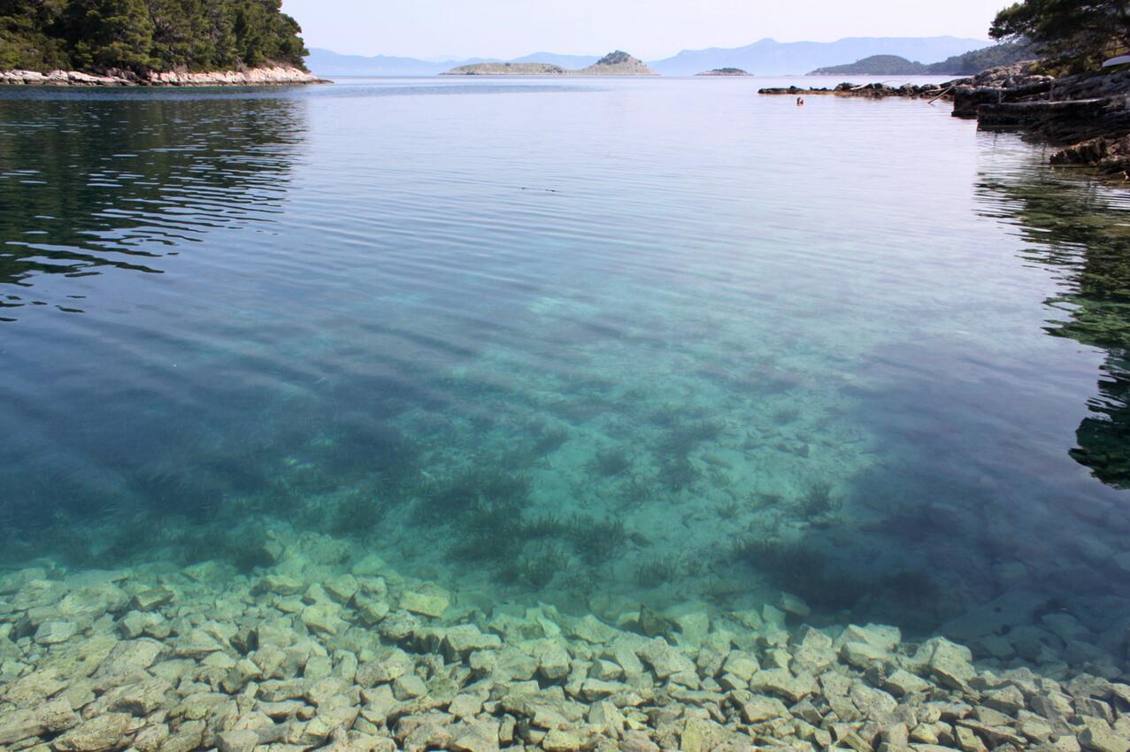 La spiaggia più vicina - Camere accanto al mare Pomena, Mljet