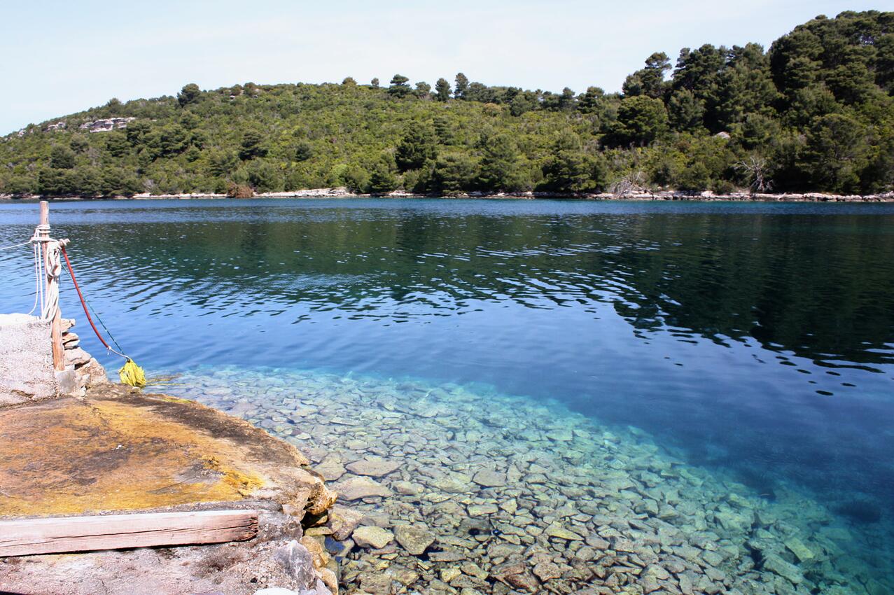 La spiaggia più vicina - Camere accanto al mare Pomena, Mljet