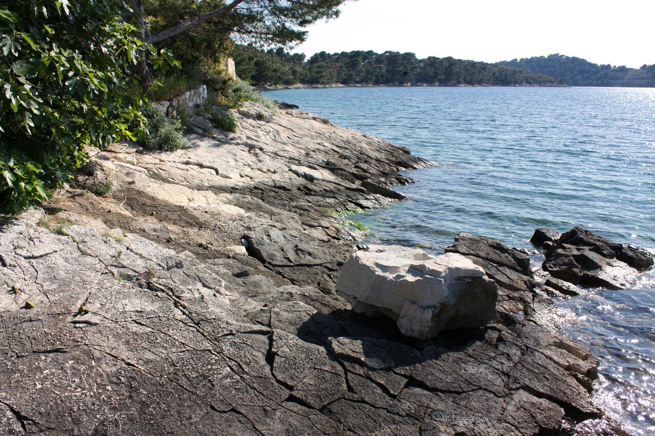 Nearest beach - Apartments and rooms by the sea Pomena, Mljet