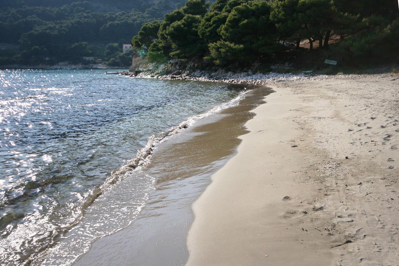 Nearest beach - Apartments by the sea Cove Saplunara, Mljet