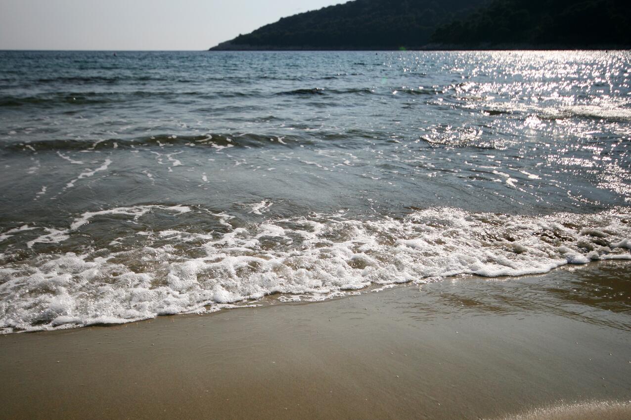 Nearest beach - Apartments by the sea Cove Saplunara, Mljet