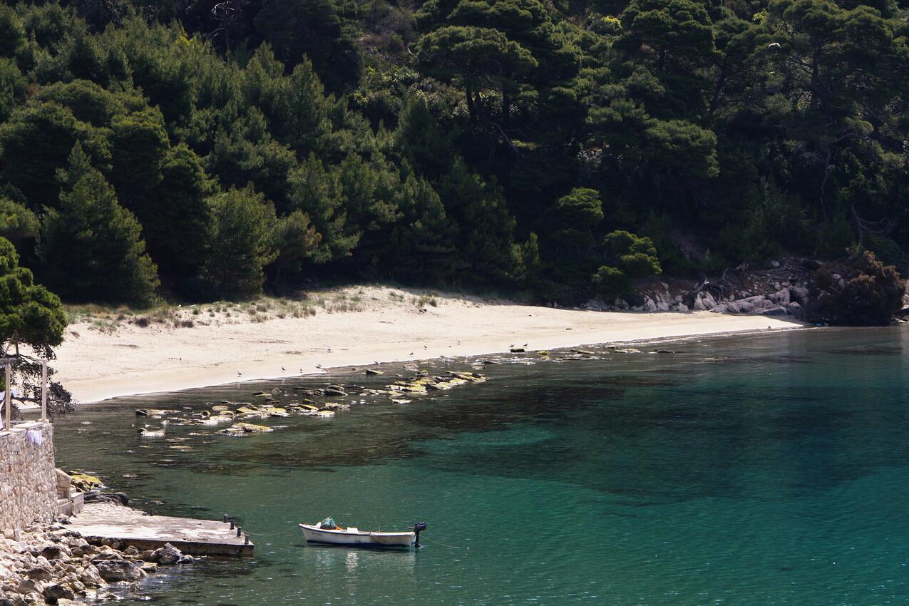 Nearest beach - Apartments by the sea Cove Saplunara, Mljet