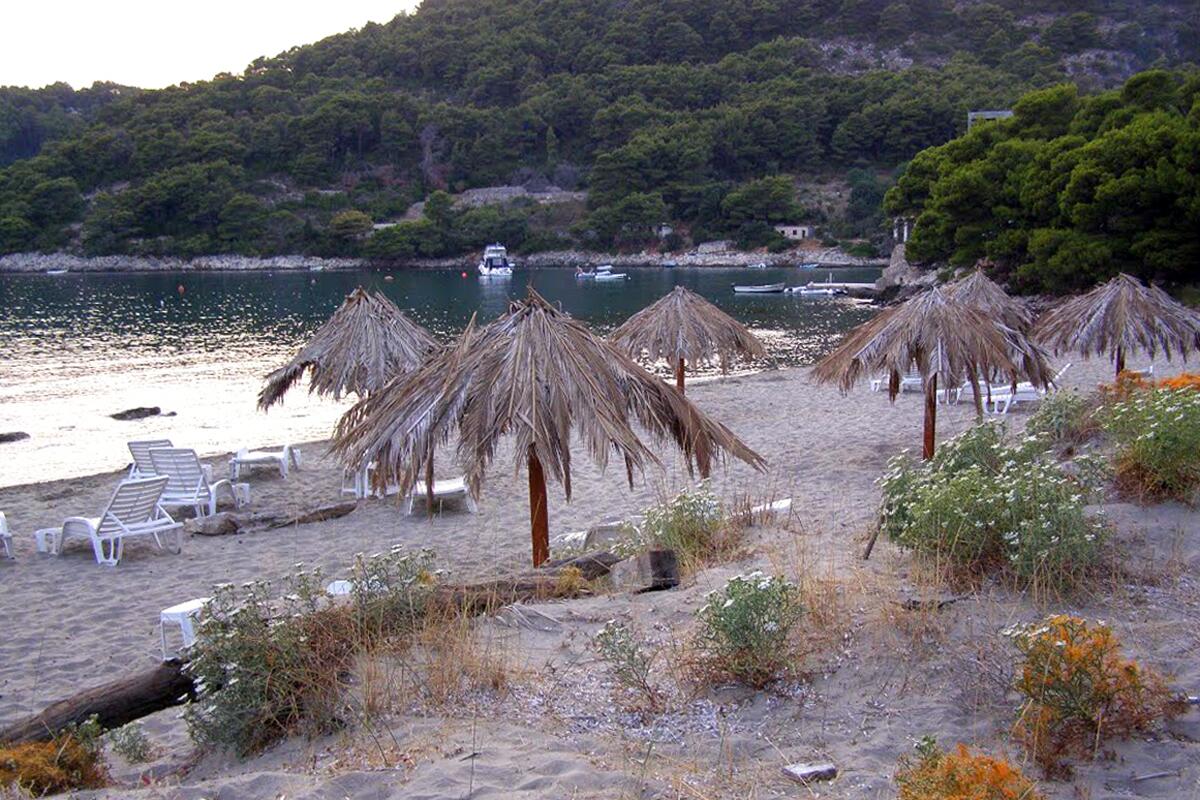 Nearest beach - Apartments by the sea Cove Saplunara, Mljet