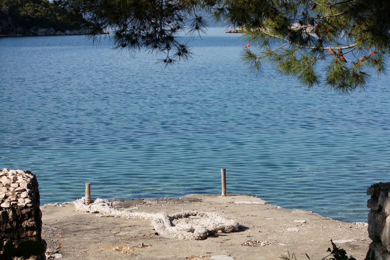 La spiaggia più vicina - Appartamenti accanto al mare Prozurska Luka, Mljet