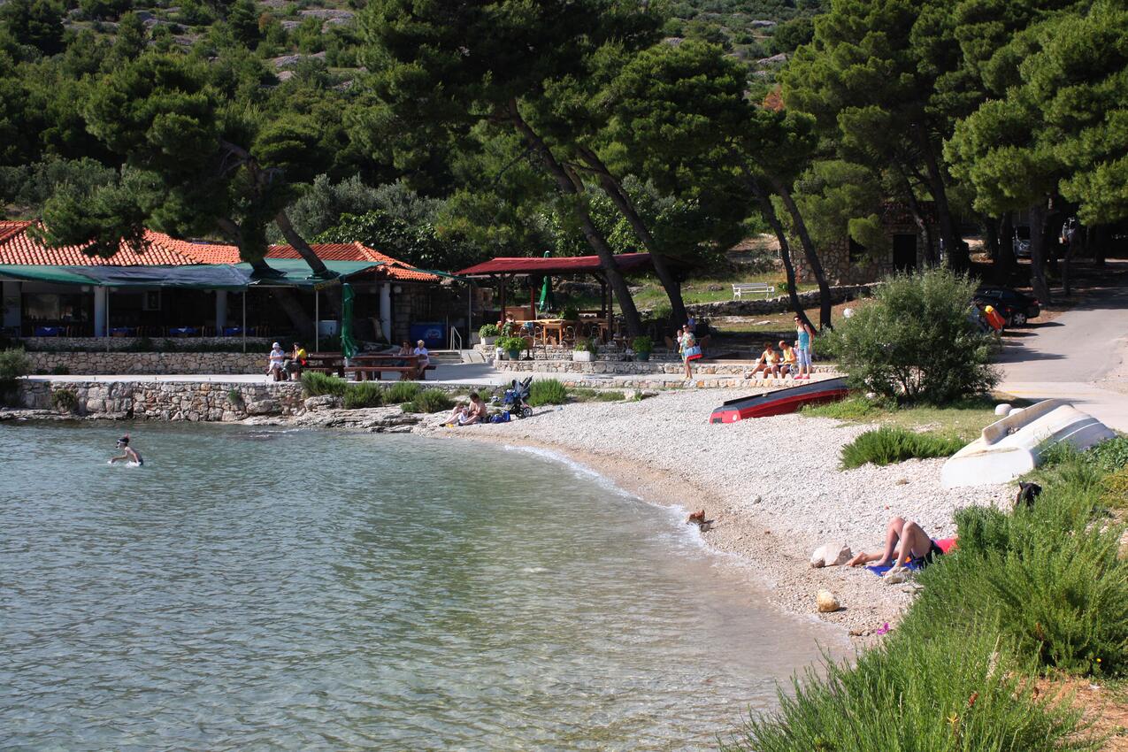 La spiaggia più vicina - Casa con piscina per famiglia Morter - Murter