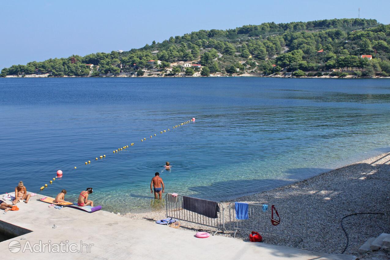 Adriatic.hr