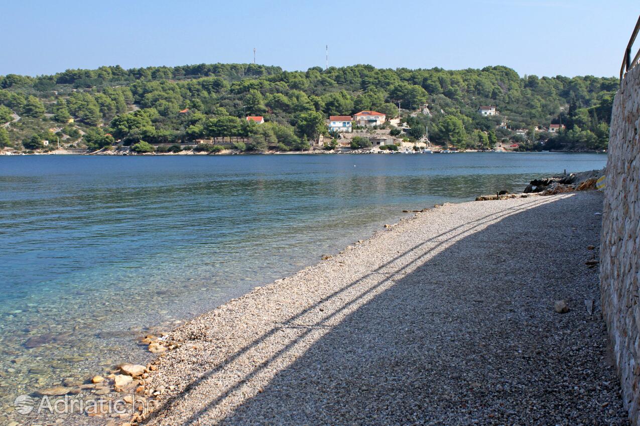 Adriatic.hr