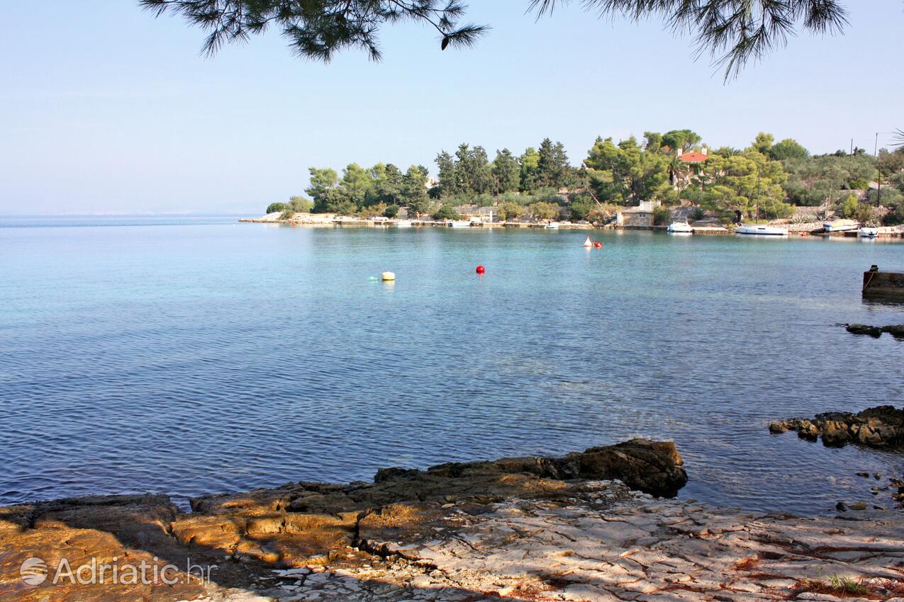 La spiaggia più vicina - Appartamenti accanto al mare Necujam, Solta