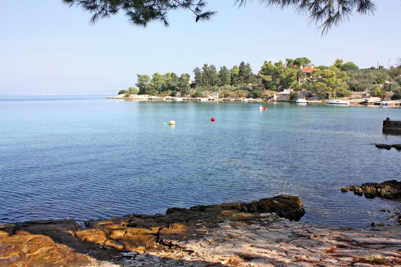 La spiaggia più vicina - Appartamenti accanto al mare Necujam, Solta