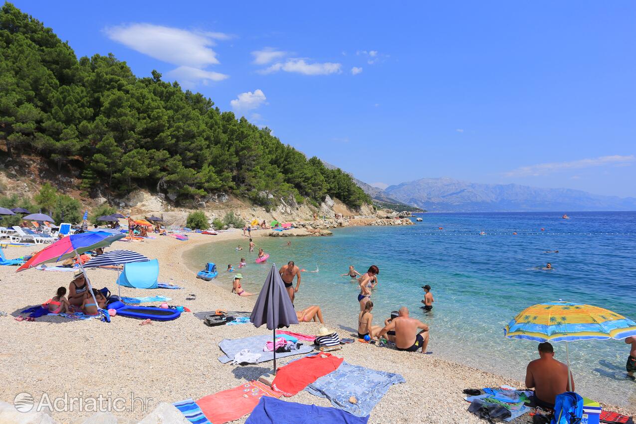 Adriatic.hr