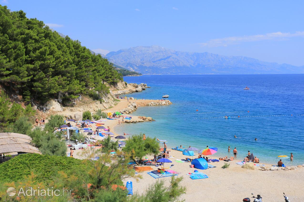 Adriatic.hr
