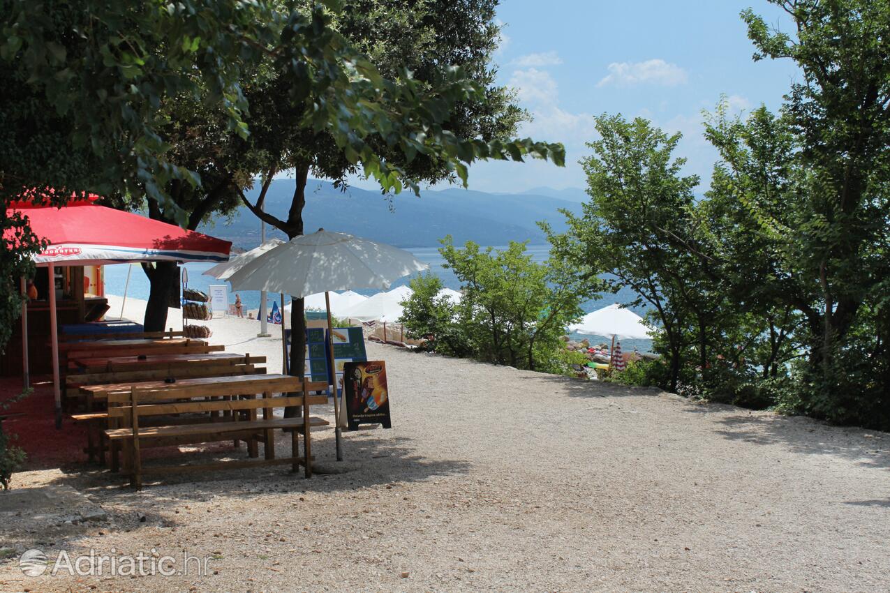 Adriatic.hr
