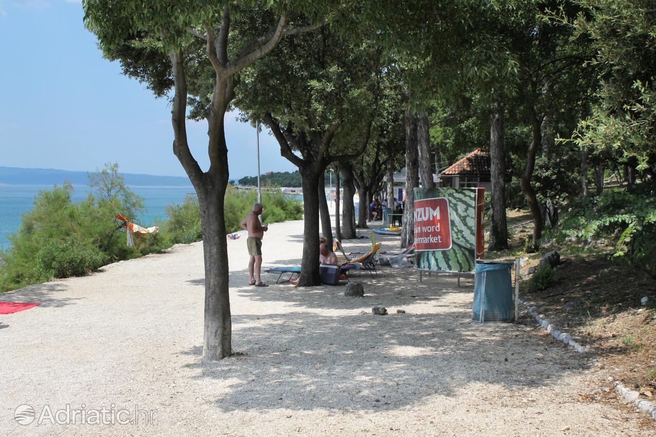Adriatic.hr