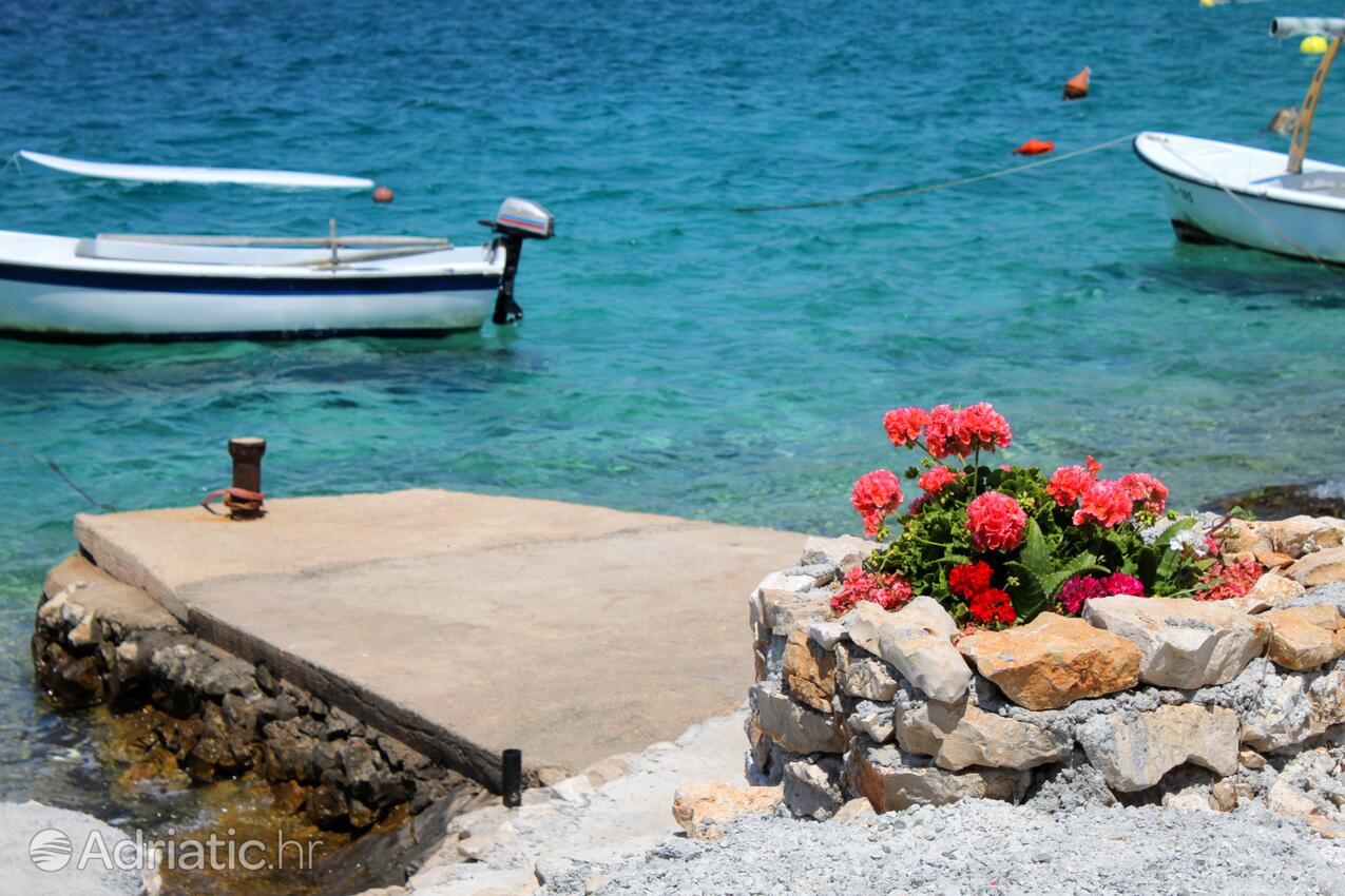 Adriatic.hr