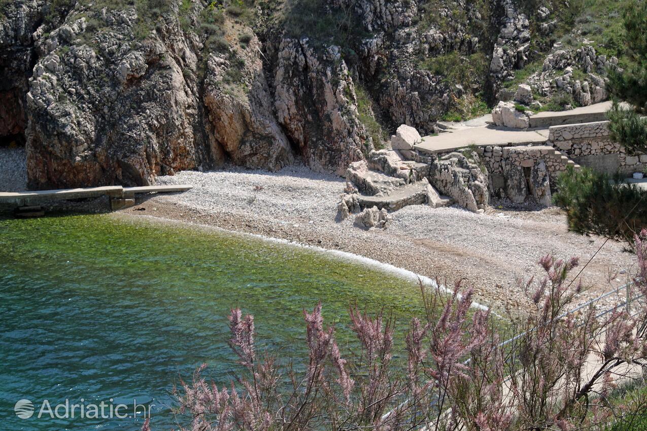 Adriatic.hr