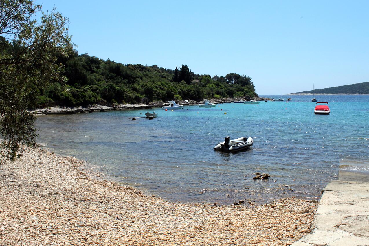 La spiaggia più vicina - Casa vacanze accanto al mare Artatore, Lussino - Lošinj