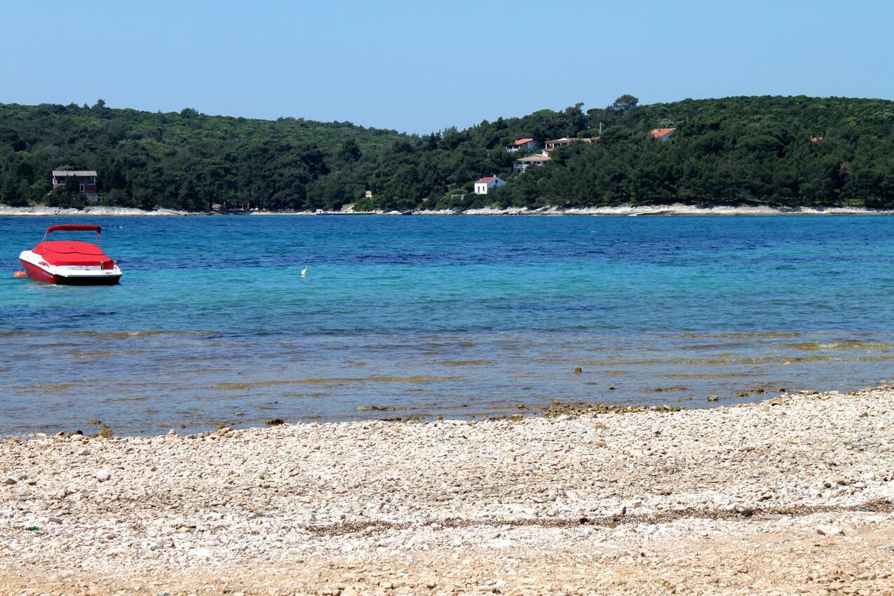 La spiaggia più vicina - Casa vacanze accanto al mare Artatore, Lussino - Lošinj